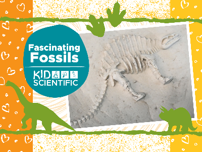 Kidcreate Studio - Ashburn. Fascinating Fossils Workshop (5-12 Years)